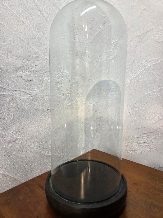 Globe - stolp - antiek - 1901-1920 - Antieke ronde stolp op, Antiek en Kunst, Kunst | Niet-Westerse kunst