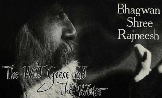 The Wild Geese and the Water - Osho (Bhagwan Shree Rajneesh), Boeken, Esoterie en Spiritualiteit, Verzenden