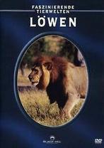 Faszinierende Tierwelten: Löwen von Peter Lamberti  DVD, Verzenden