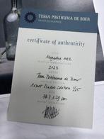 Tessa Posthuma de Boer - Magnolia no.2