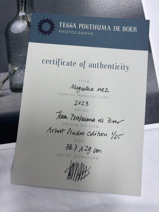 Tessa Posthuma de Boer - Magnolia no.2, Antiek en Kunst, Kunst | Designobjecten