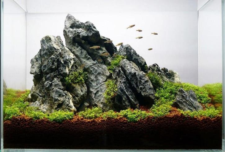 Ordinairy Tsinglung 20-30cm  - aquarium decoratie steen, Dieren en Toebehoren, Vissen | Aquaria en Toebehoren, Plant(en), Steen of Hout