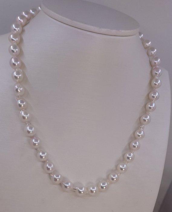 Zonder minimumprijs - Halsketting 8x8.5mm Akoya parels, Handtassen en Accessoires, Kettingen