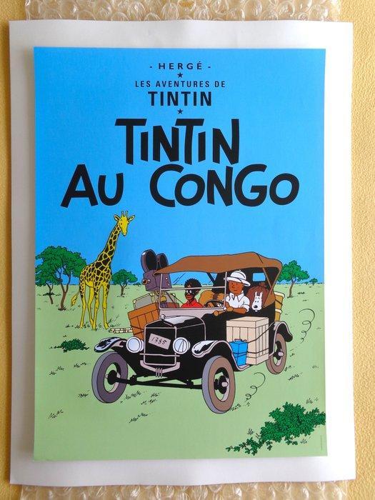 Tintin - Sérigraphies Hergé/Tintinimaginatio - Tintin au, Livres, BD