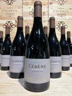 2017 Domaine de Cébène Les Bancèls - Faugères - 12 Flessen