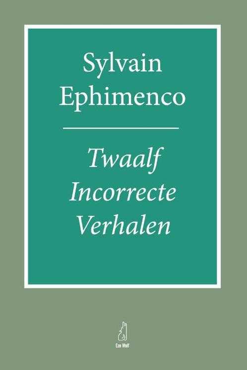 Incorrecte verhalen 9789083248363 Sylvain Ephimenco, Boeken, Overige Boeken, Gelezen, Verzenden