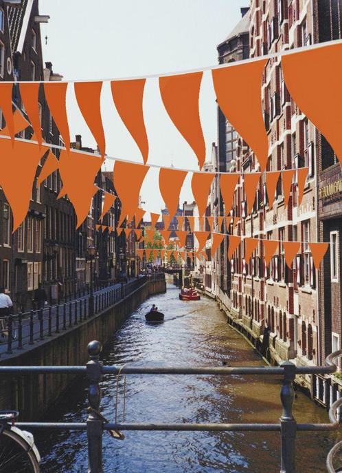 Kingdo Oranje Vlaggenlijn 40 meter met 80 Oranje Puntvlaggen, Sports & Fitness, Football, Envoi
