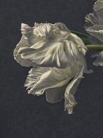 Ursula van de Bunte - Just the Two of Us, Antiek en Kunst