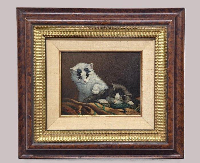 Cornelis Raaphorst (1875-1954) - Kittens, Antiek en Kunst, Kunst | Schilderijen | Klassiek