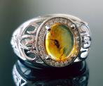 Zeldzame natuurlijke Baltische barnstenen ring met fossiele