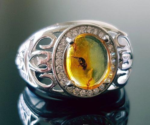 Zeldzame natuurlijke Baltische barnstenen ring met fossiele, Verzamelen, Mineralen en Fossielen