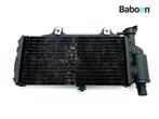 Radiateur BMW F 650 CS Scarver (F650CS 02-04) (7661912)