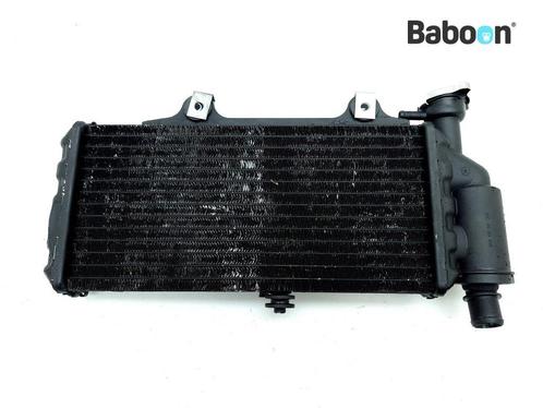 Radiateur BMW F 650 CS Scarver (F650CS 02-04) (7661912), Motos, Pièces | BMW, Envoi