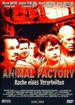 Animal Factory - Rache eines Verurteilten von Steve Buscemi, Cd's en Dvd's, Gebruikt, Verzenden