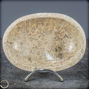 Bol en corail fossil naturel, Australie- 558.57 g