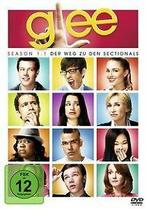 Glee - Season 1.1 [4 DVDs] von Brad Falchuk, Elodie Keene, Cd's en Dvd's, Gebruikt, Verzenden