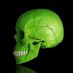 MR Strange Gitard - Death in Green, Antiquités & Art, Art | Sculptures & Bois, Verzenden