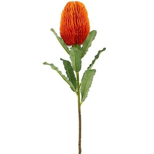 Zijdebloem 65cm LARGE BANKSIA ORANGE Exotic, Maison & Meubles, Accessoires pour la Maison | Plantes & Fleurs artificielles