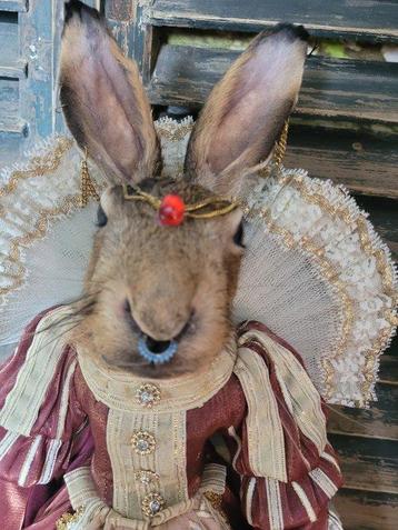 Lièvre Support de corps entier pour taxidermie - Lepus