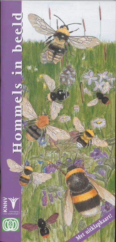 Hommels in beeld / In beeld / 6 9789050111522 F. Bos, Livres, Loisirs & Temps libre, Envoi