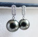 Oorbellen - 18 kt. witgoud - Rikitea parel -, Nieuw