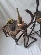 Standaard - Bamboe - Drie vintage plantentafeltjes