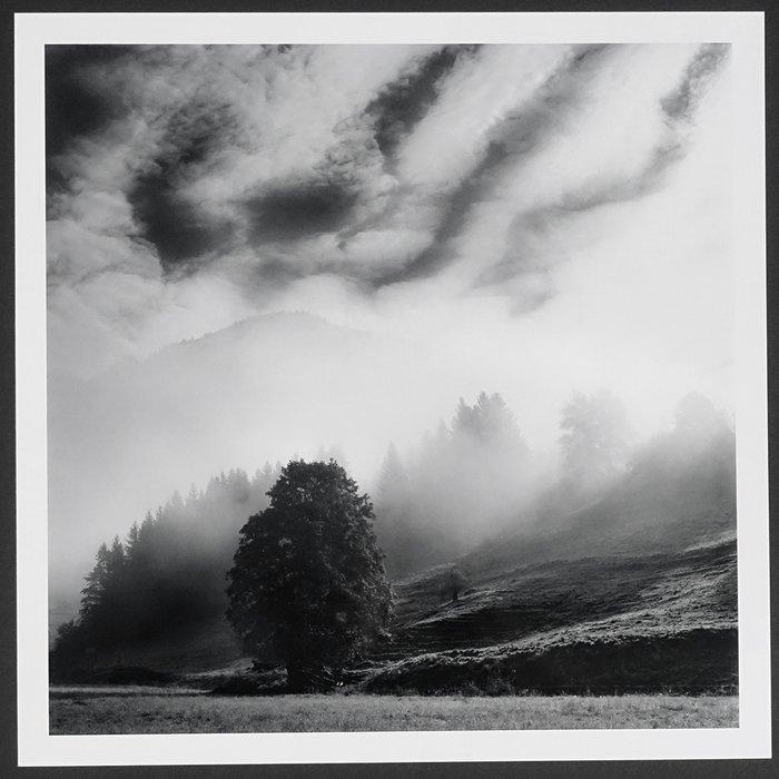 Frank Machalowski - Steiermark, Antiquités & Art, Art | Objets design