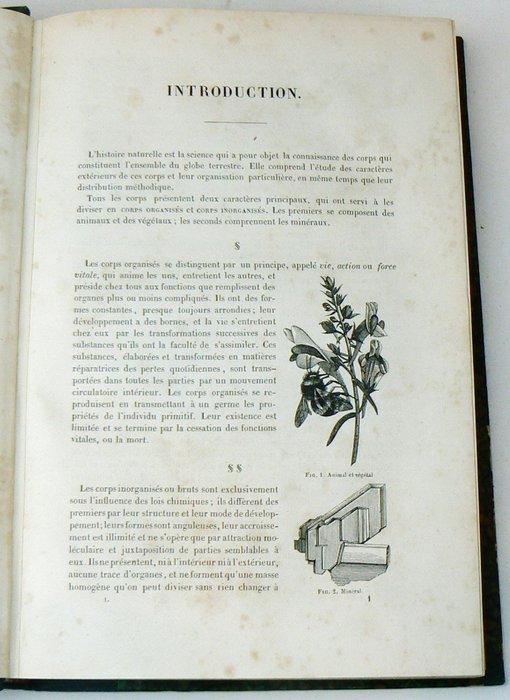 Jean-Charles Chenu - Leçons élémentaires sur lhistoire, Antiek en Kunst, Antiek | Boeken en Manuscripten