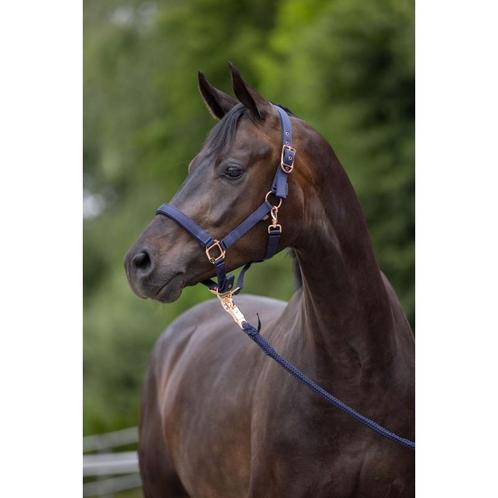 Halster classy- navy - pony - kerbl, Dieren en Toebehoren, Paarden en Pony's | Overige Paardenspullen, Nieuw