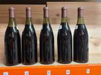 1979 Jaboulet Vercherre - Corton Renardes Grand Cru - 5, Verzamelen, Nieuw