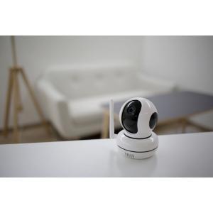 Caméra de surveillance ipcam pet, Dieren en Toebehoren, Honden-accessoires