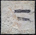 Carreau - Tuile ancienne en Delft bleu avec un motif de