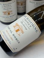 2023 Pascal Robin Bourgogne Coteaux de Chitry - Bourgogne, Collections