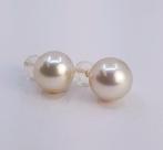 Oorbellen - 14 karaat Geel goud, 10x11mm ronde zacht