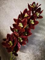 Orchidee Cymbidium zijde 96cm. purple Orchidee, Maison & Meubles