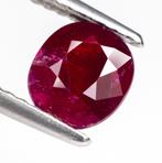 Zonder minimumprijs Robijn - 1.28 ct - Bellerophon Gemlab -, Handtassen en Accessoires, Edelstenen, Nieuw