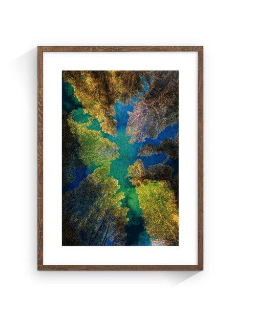 Jaime Oriz - Forest spectrum, Antiek en Kunst, Kunst | Schilderijen | Modern