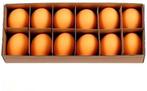 Kippeneieren Oranje 12 stuks leeggeblazen voor decoratie, Nieuw