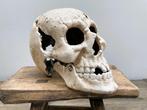 Skull - Figuur - Gietijzer, Antiek en Kunst