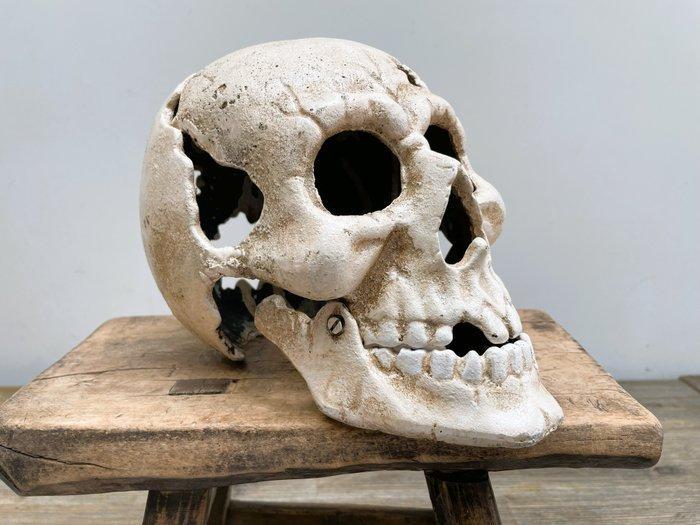 Skull - Figuur - Gietijzer, Antiek en Kunst, Curiosa en Brocante
