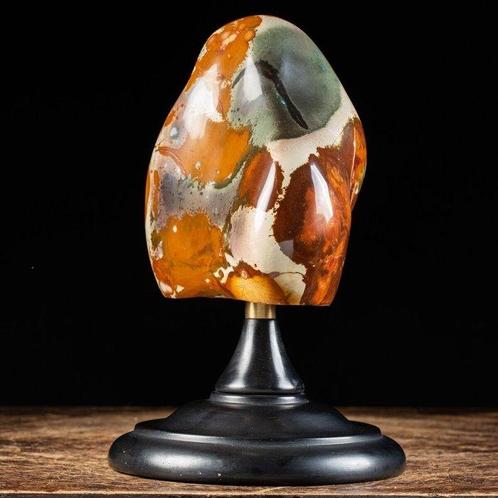 Jasper Polychrome Extraordinaire - Jaspe en Forme Libre de, Verzamelen, Dierenverzamelingen