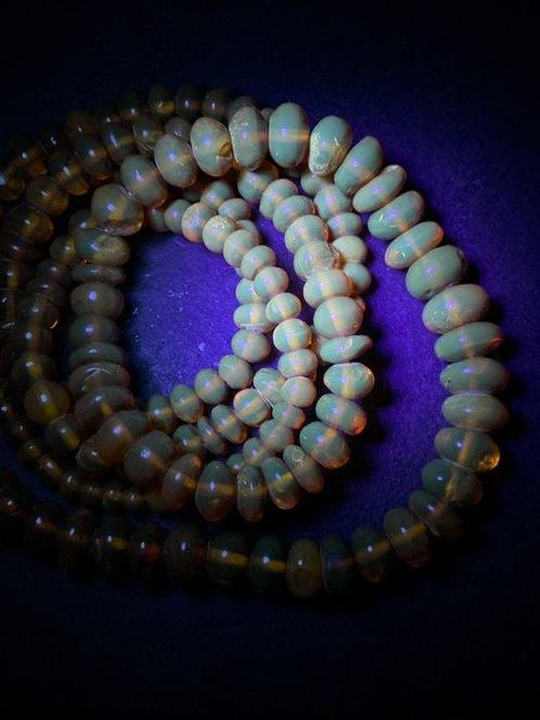 Natuurlijke Baltische amber hele steen donuts in een lange, Verzamelen, Dierenverzamelingen