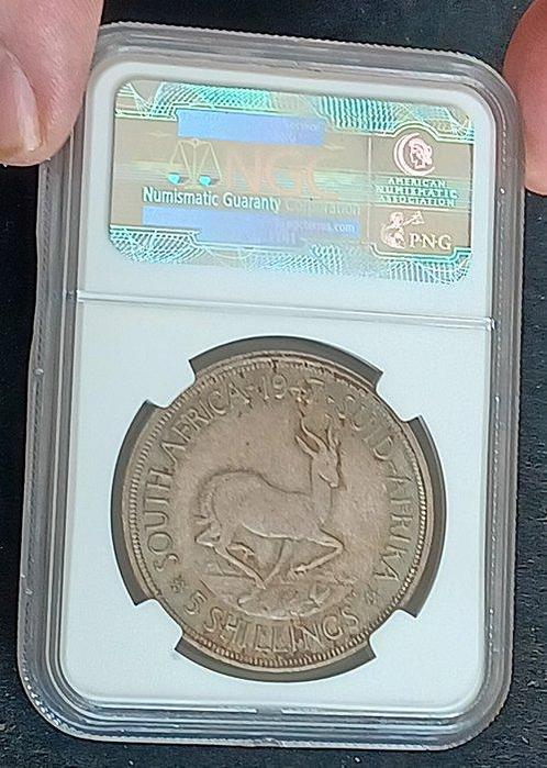 Zuid-Afrika. 5 Shilling 1947 UNC Springbok 80% Silver 5S NGC, Postzegels en Munten, Munten | Europa | Niet-Euromunten