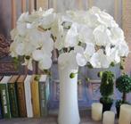 Phalaenopsis orchidee spray ivory 77cm. orchid, Maison & Meubles