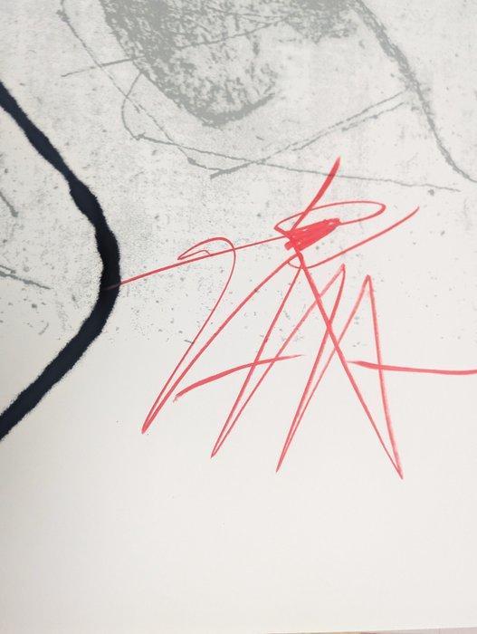 Harald Naegeli (1939) aka “Sprayer of Zurich - For Humane, Antiek en Kunst, Antiek | Overige Antiek