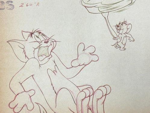 Tom and Jerry (MGM, 1963/64) - 2 Animatietekeningen,, Cd's en Dvd's, Dvd's | Tekenfilms en Animatie