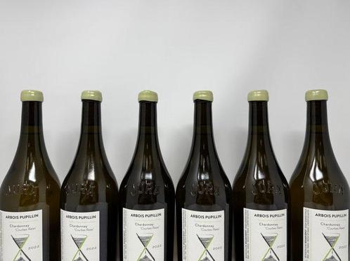 2022 Cellier Saint Benoit Courbes Raies - Arbois-Pupillin, Verzamelen, Wijnen