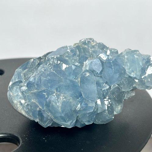 celestine Blue Celstine strong blue Cluster - Hoogte: 14 cm, Verzamelen, Mineralen en Fossielen