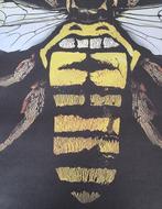 Anonymous - Concierto Rolling Stones gira No Filter 1918 con, Antiek en Kunst