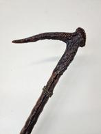 Wandelstok - blackthorn, gewei